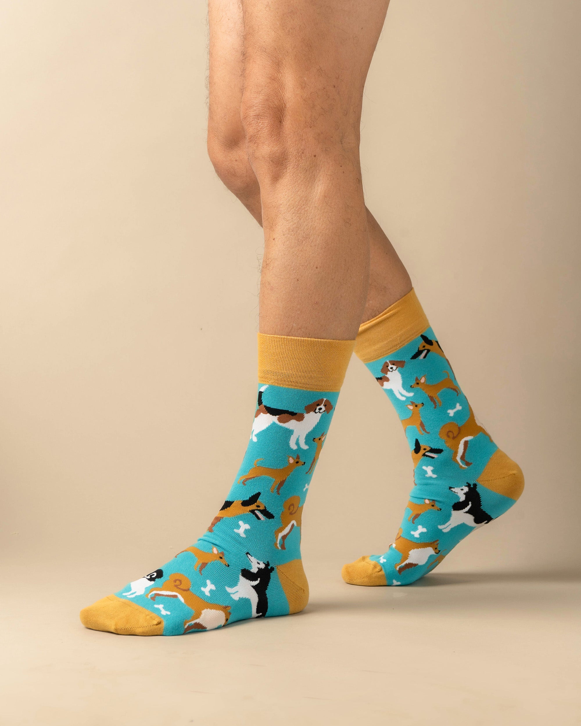 Pooch Parade – Crew Classic